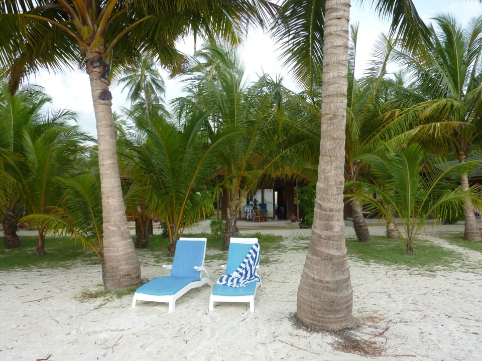 Unsere Liegestühle Beachvilla 112 Meeru Maldives Resort Island