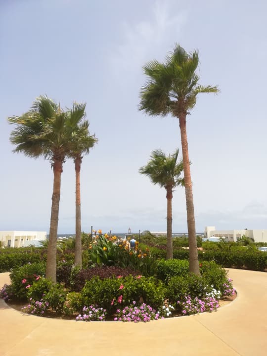 Gartenanlage Hotel Riu Palace Boavista