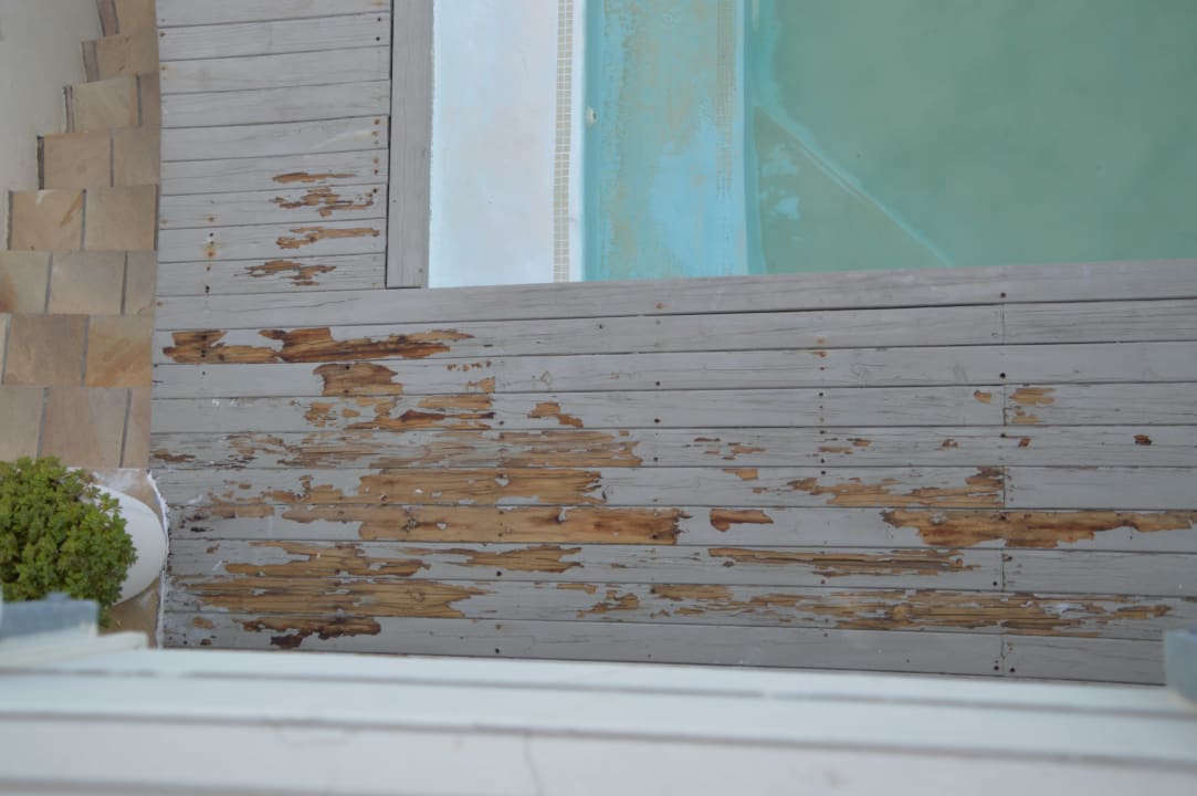 Pool Finchley Guest House