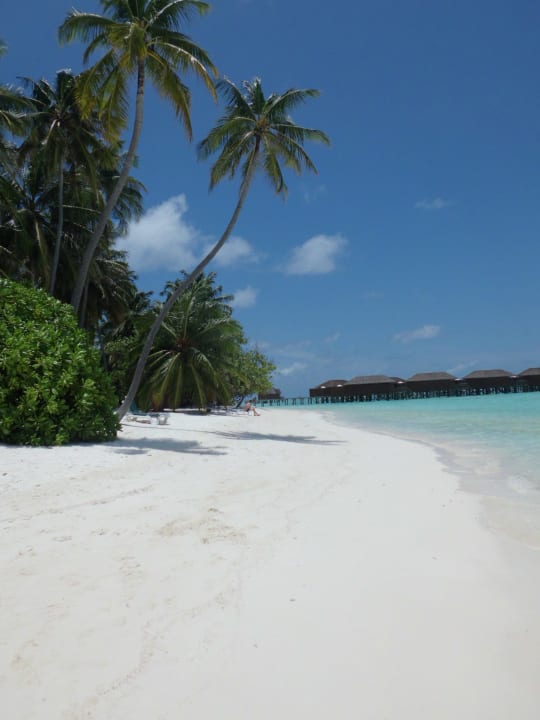 Traumhaft Meeru Maldives Resort Island