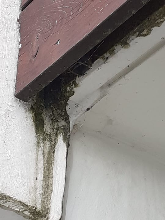 Zimmer Seehotel Leoni