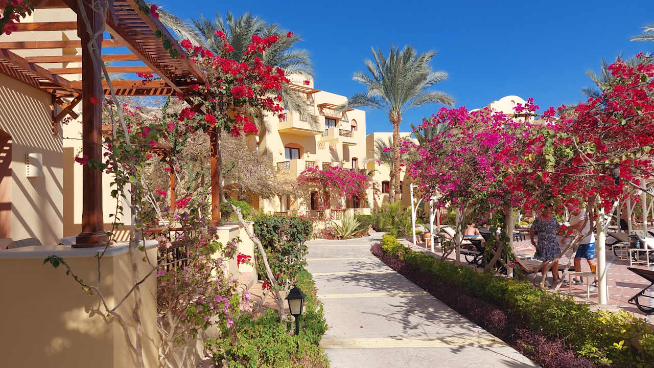 Außenansicht Steigenberger Coraya Beach - Adults only