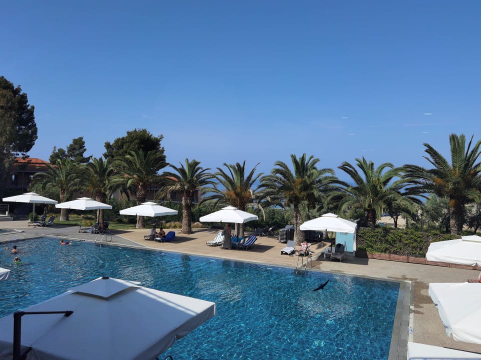 Pool Blue Dolphin Resort Hotel
