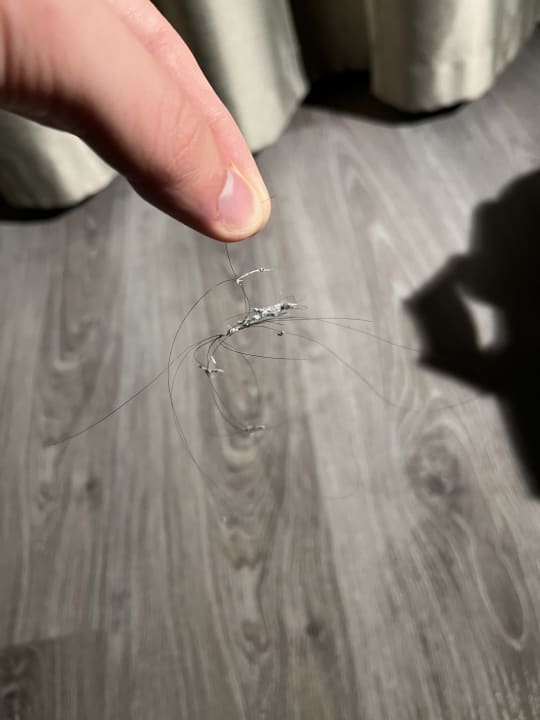 Zimmer Hotel Days Inn Dessau