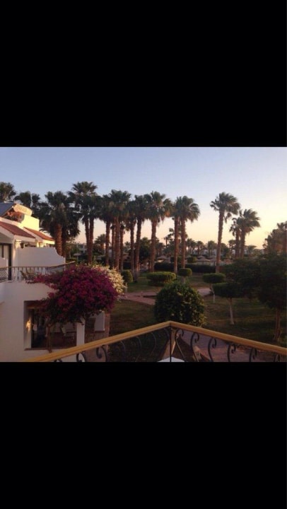 Blick vom Zimmer Lotus Bay Beach Resort