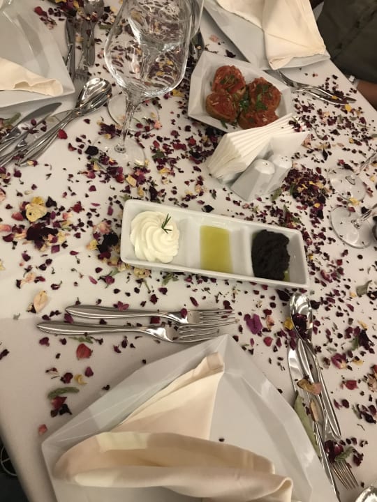 Gastro Mary Hotel Side