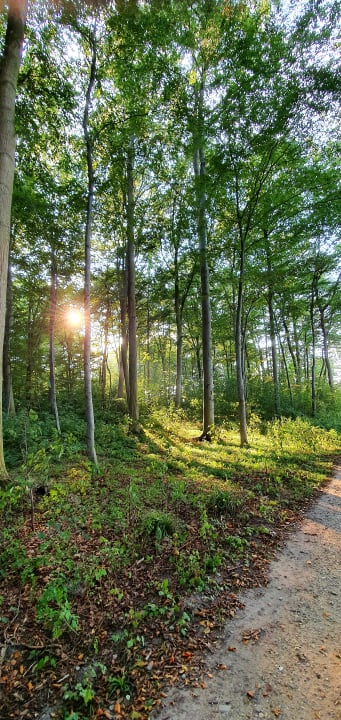 Gartenanlage Ferienwohnungen Ferienpark Weissenhäuser Strand
