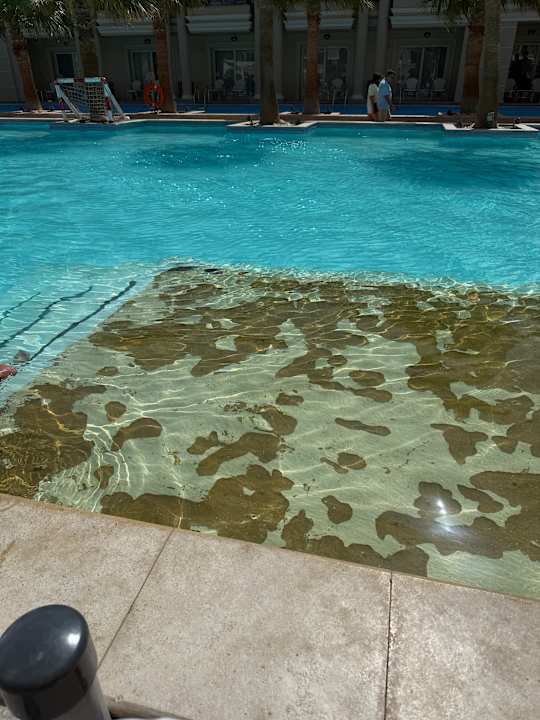 Pool Titanic Royal