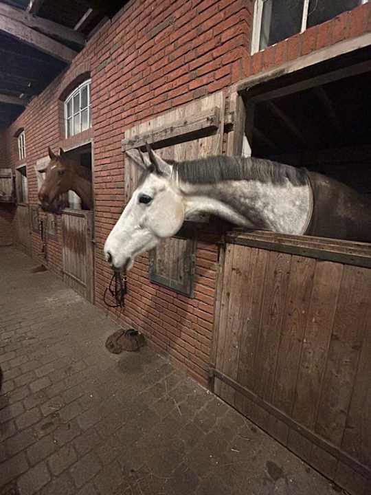 Sonstiges Gut Buckhagen
