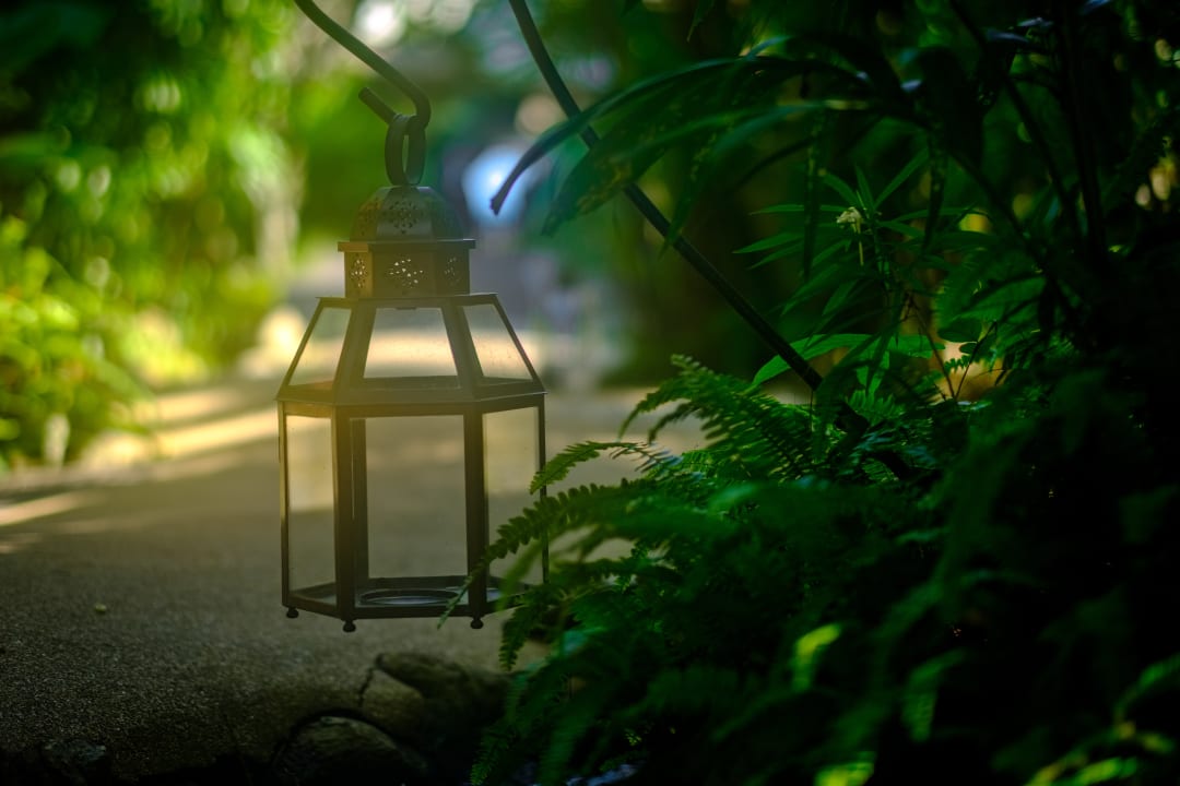 Gartenanlage Zazen Boutique Resort & Spa