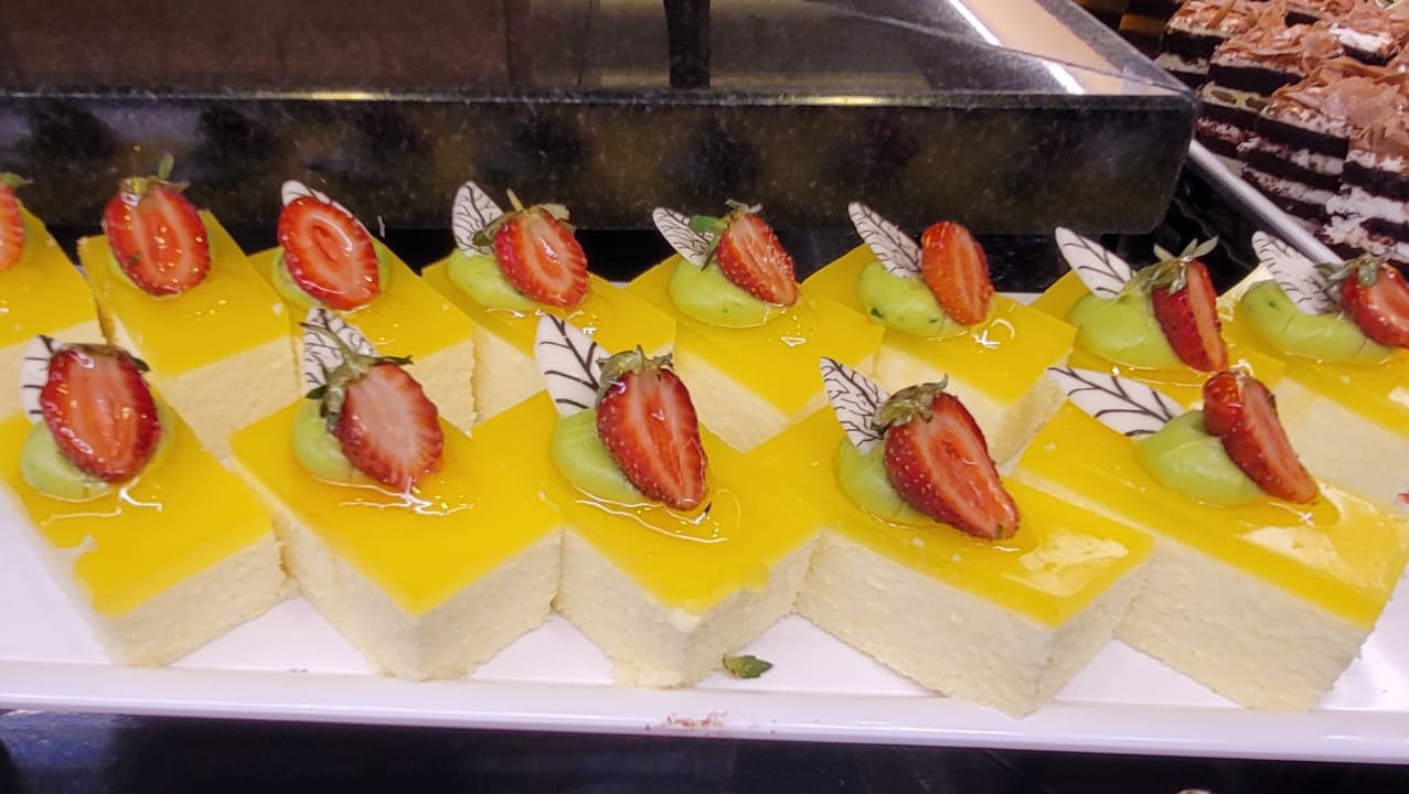 Gastro Papillon Ayscha