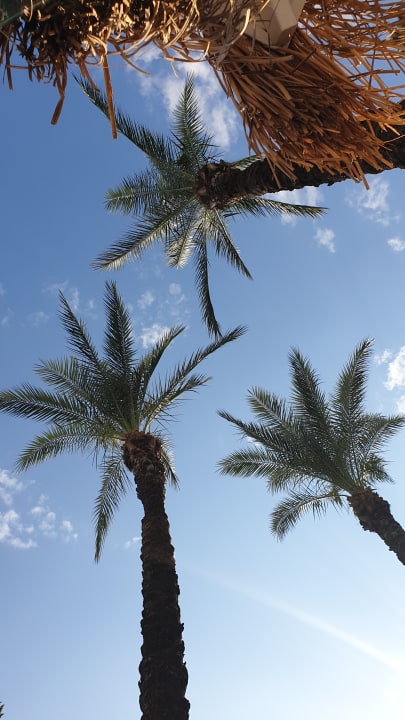 Ausblick Hotel Delphin Diva