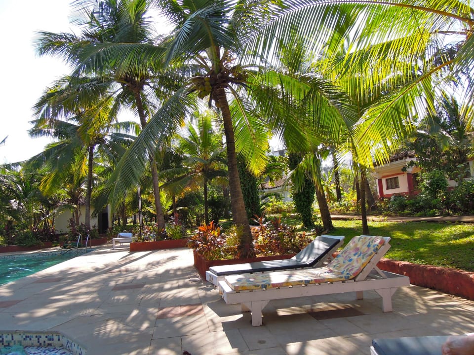 Am grossen Pool Hotel Luisa By The Sea