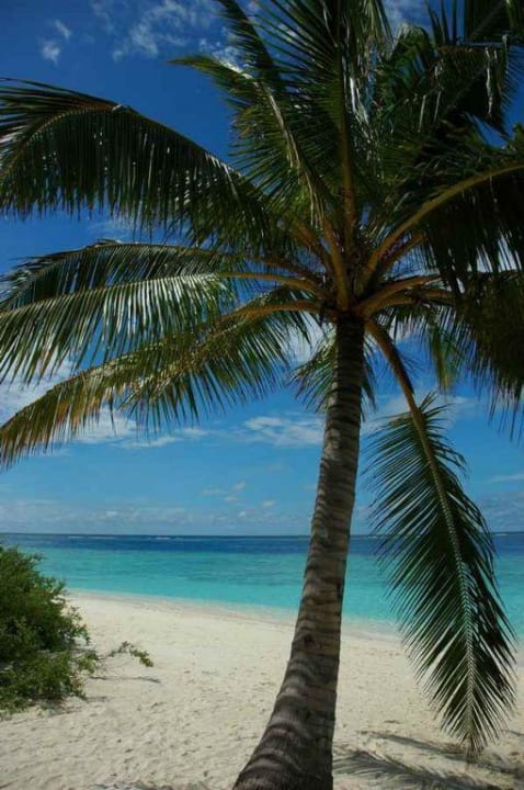 Paradies Adaaran Club Rannalhi - All Inclusive