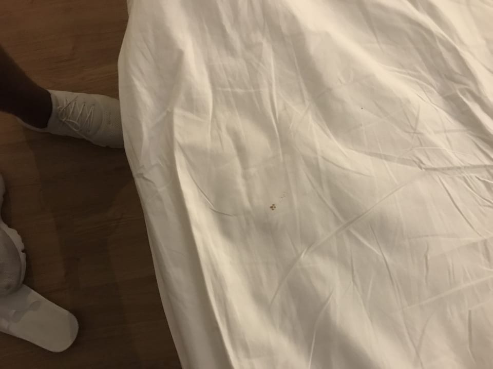 Zimmer Best Western Premier Bangtao Beach Resort & Spa