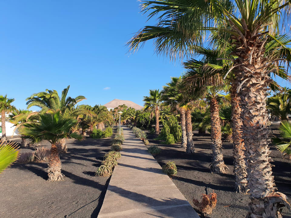 Garten Apartamentos LIVVO Las Gaviotas