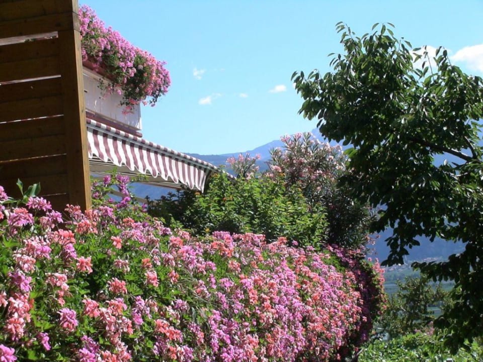 Haus Hanni Tramin Ferienwohnungen Haus Hanni