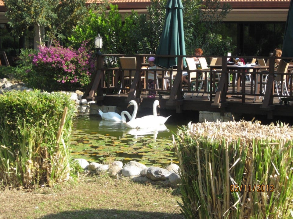 Aussensitzplatz IC Hotels Green Palace