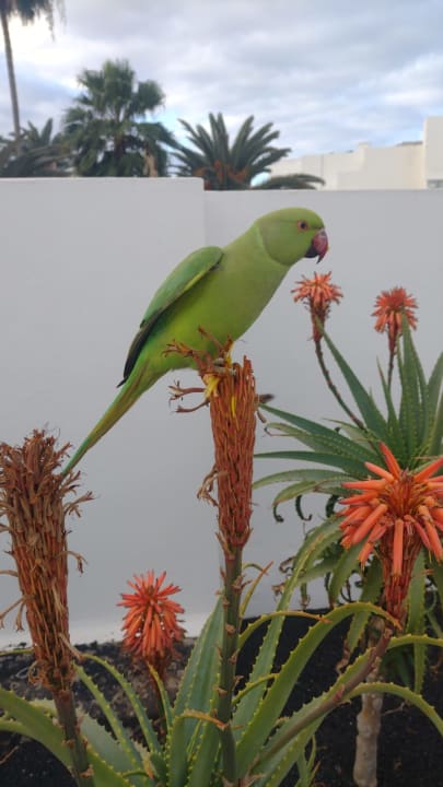 Außenansicht Hotel Floresta