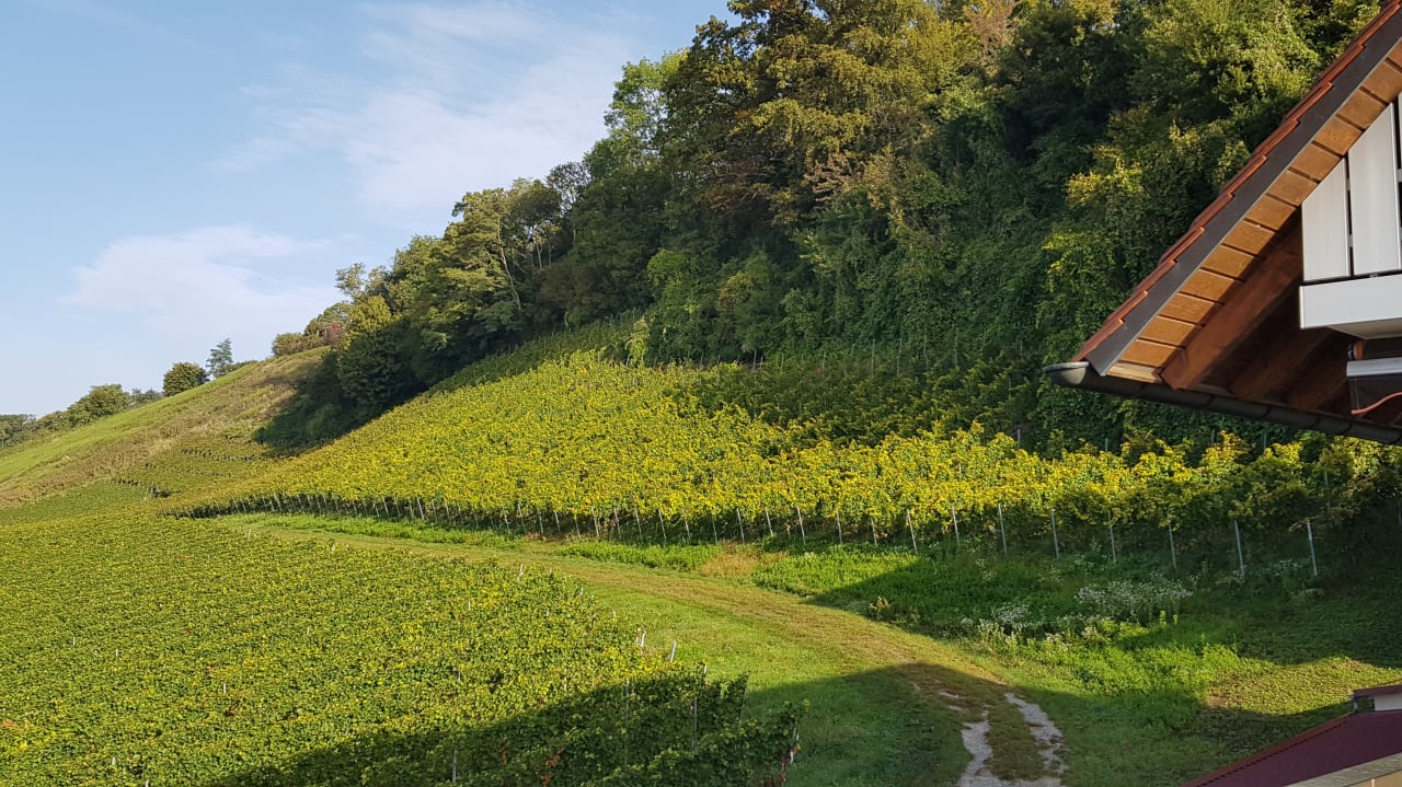 Ausblick Hotel Fischerhaus Garni
