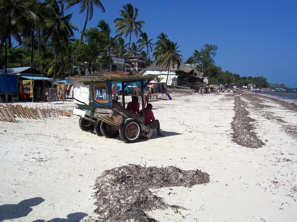 Rechts vom Hotelstrand Neptune Beach Resort
