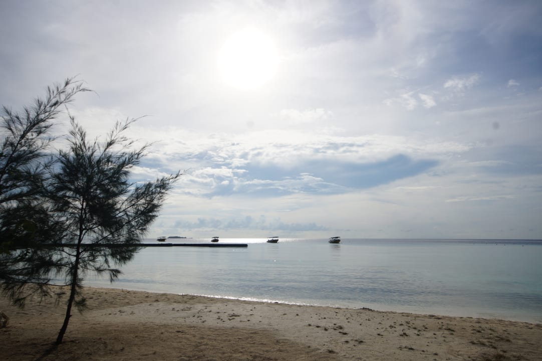 Strand Summer Island Maldives