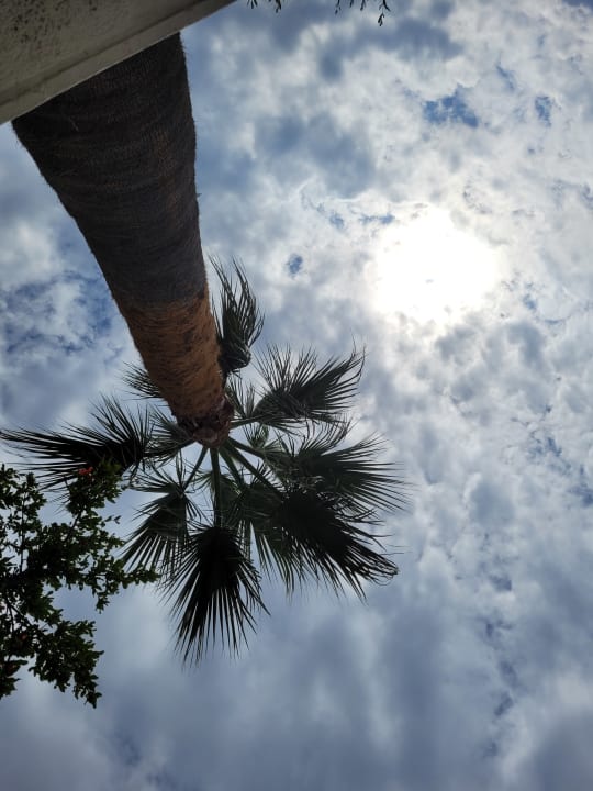 Ausblick Akrathos Beach Hotel