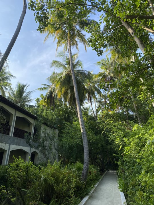 Außenansicht Biyadhoo Island Resort