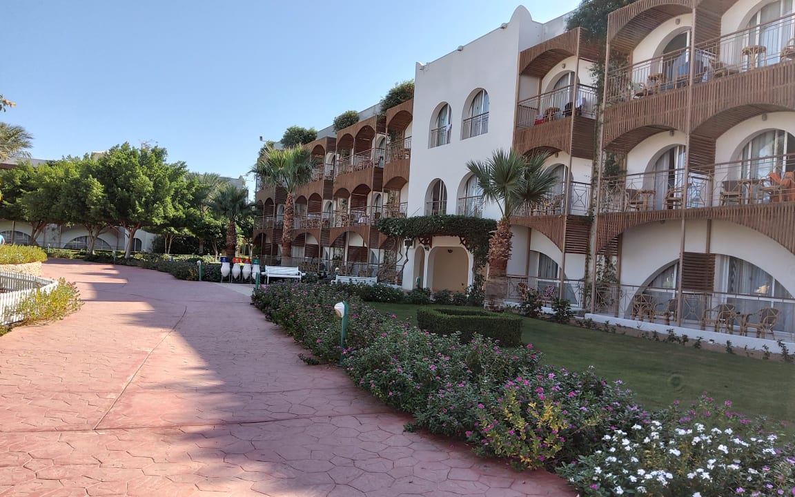 Außenansicht Desert Rose