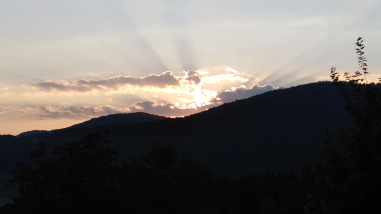 Ausblick Thula Wellnesshotel Bayerischer Wald