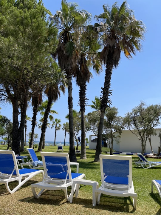 Gartenanlage Süral Saray Hotel