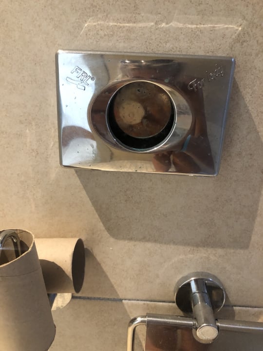 Zimmer Well Palace Side