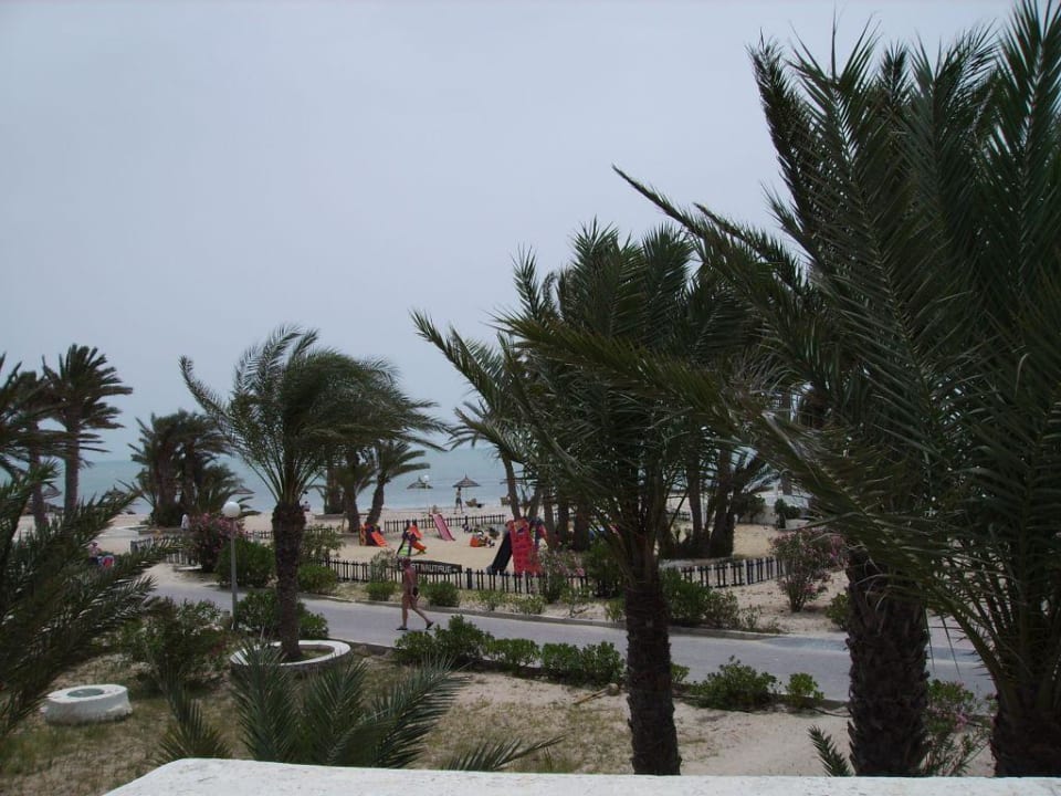 Aussicht Hotel El Mouradi Djerba Menzel