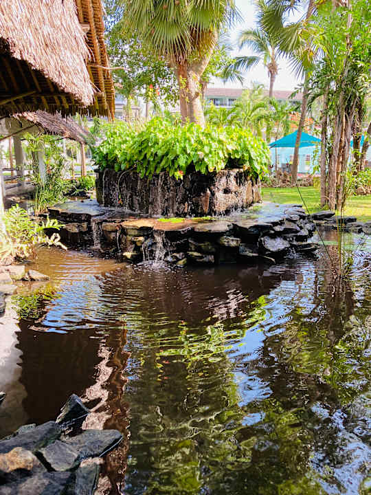 Lobby Hotel Southern Palms Beach Resort