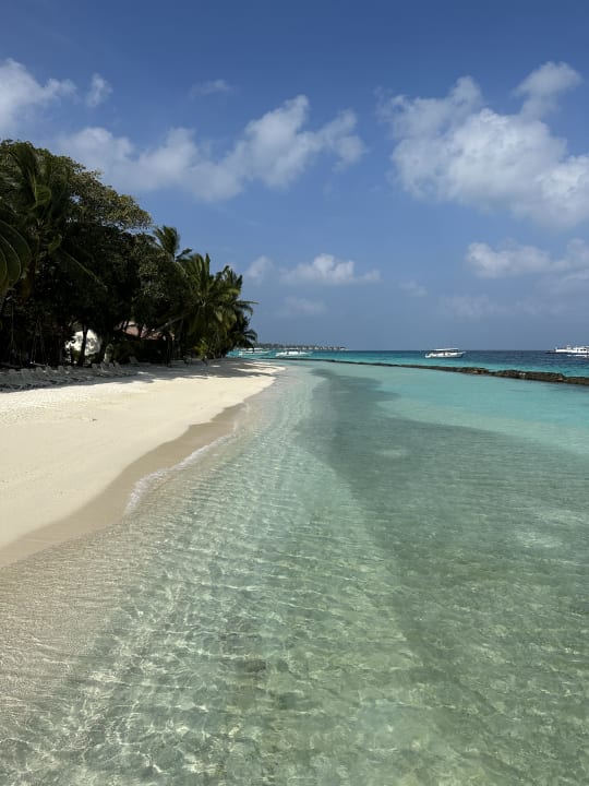 Strand Kuramathi Maldives