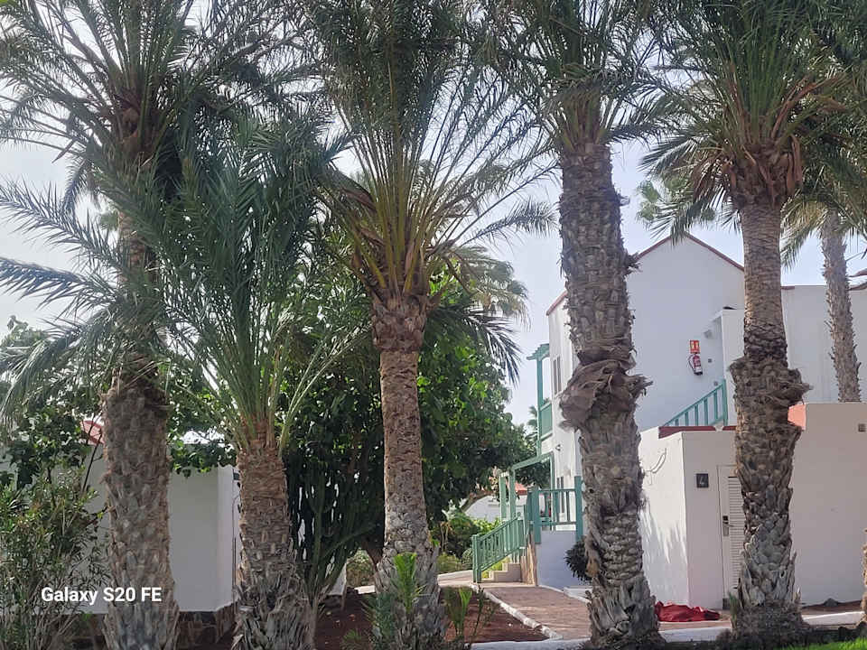Gartenanlage Aldiana Club Fuerteventura