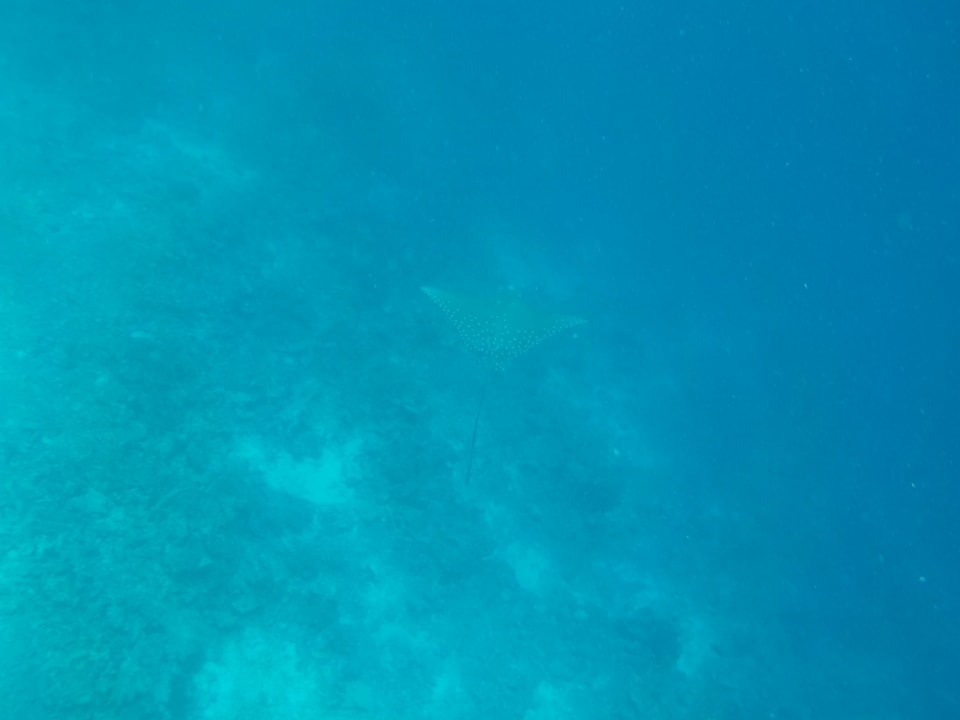 Sport & Freizeit Adaaran Select Hudhuran Fushi - Premium All Inclusive