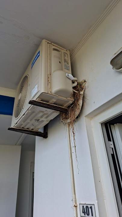 Zimmer Casa Di Notos Beach Hotel