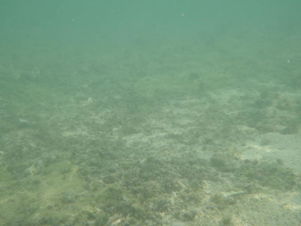 Unterwasserwelt Victoria Beachcomber Resort & Spa