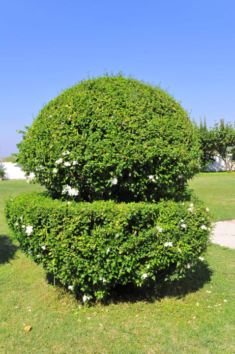 Garten Hotel Tigaki's Star