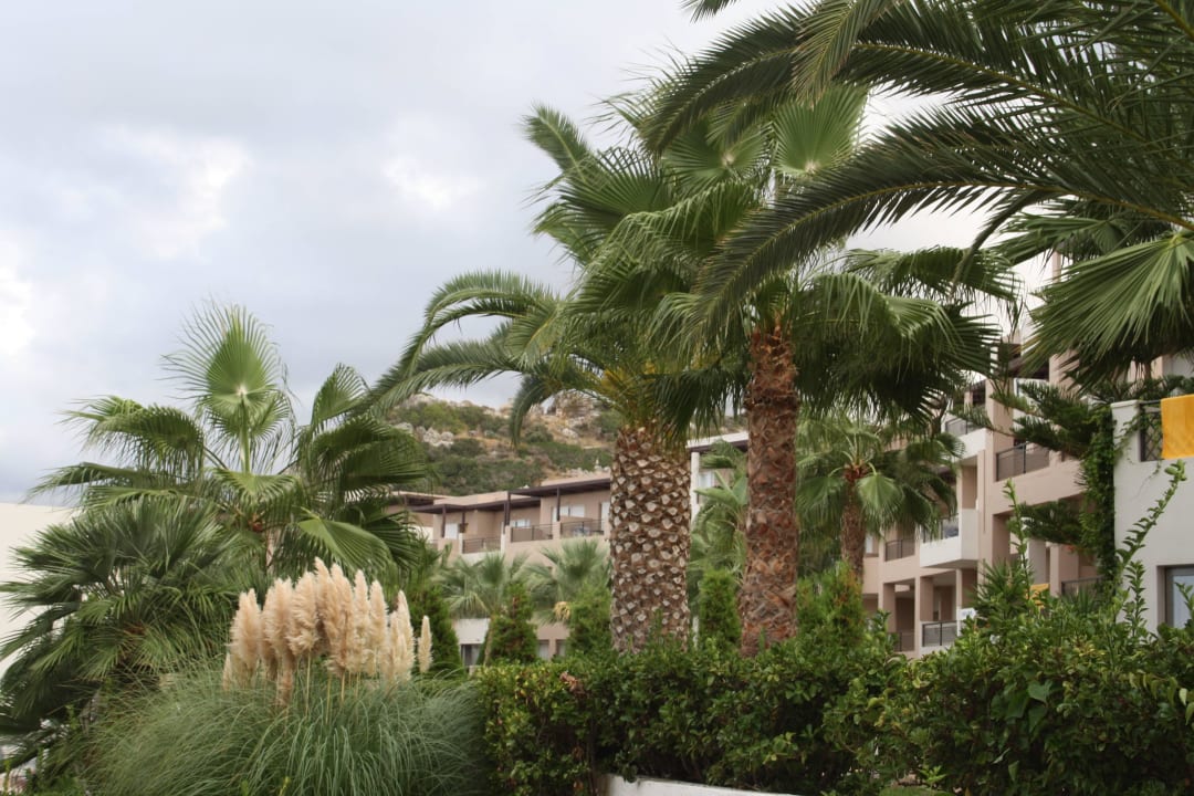 Einfach wunderschön... Grand Hotel Holiday Resort