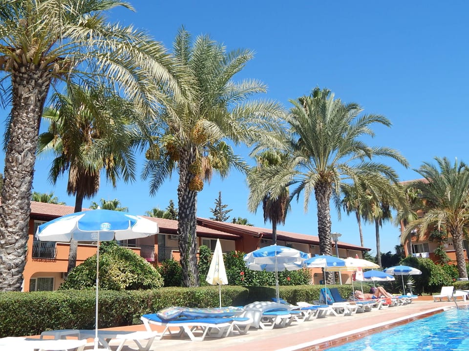 Basen Club Turtas Beach Hotel