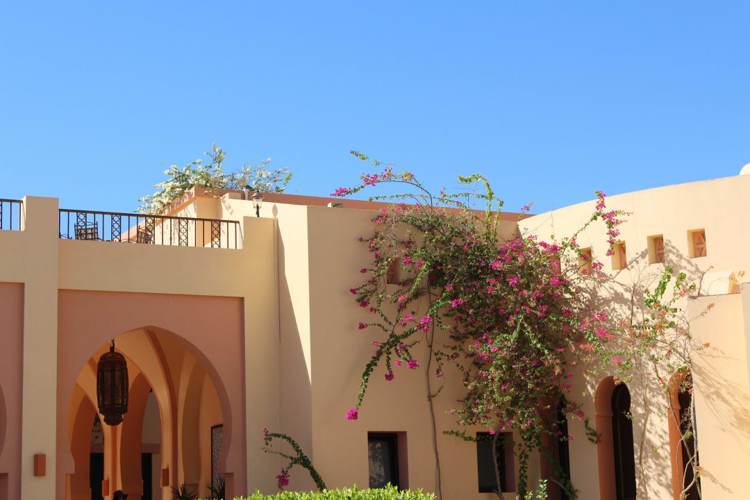 Sind überall, verschiedene Farben und duften gut Steigenberger Coraya Beach - Adults only