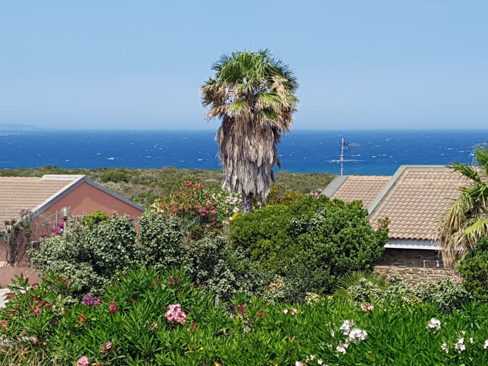 Ausblick Hotel Cala Rosa