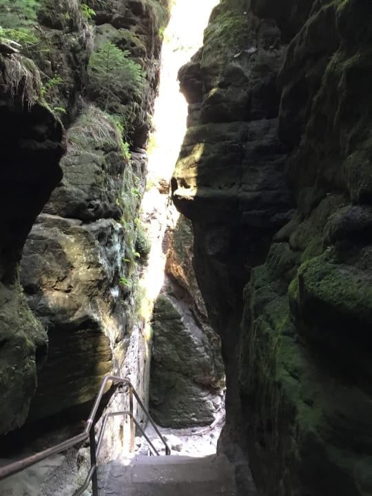 Ausblick Hotel Grundmühle