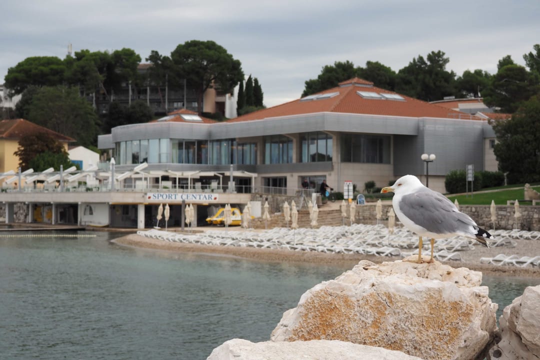 Restaurant Maistra Select Belvedere Resort