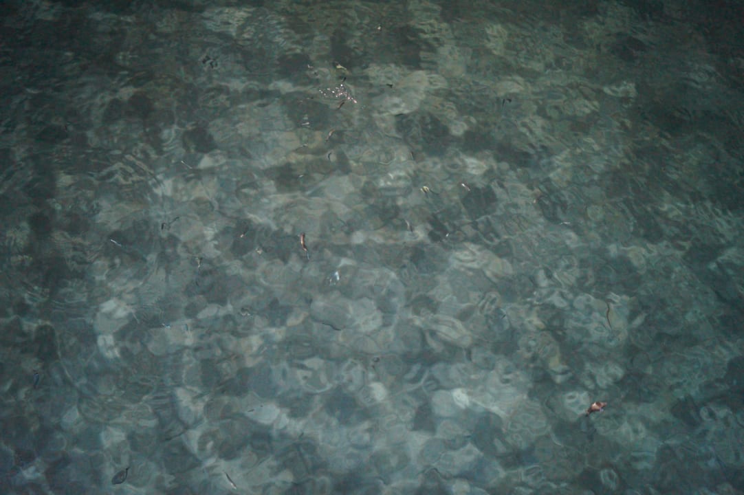 Bei Nacht AQI Pegasos Resort