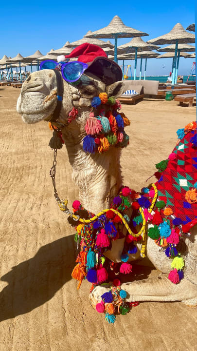 Gartenanlage Le Jardin Aqua Park Resort