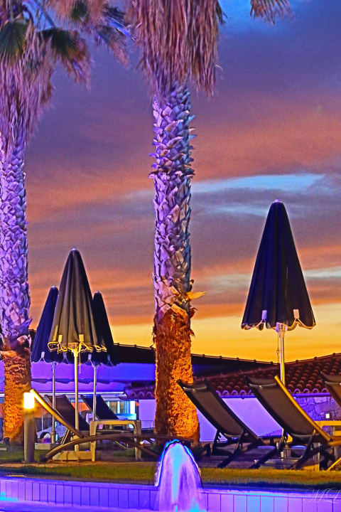 Palmen allsun Hotel Carolina Mare