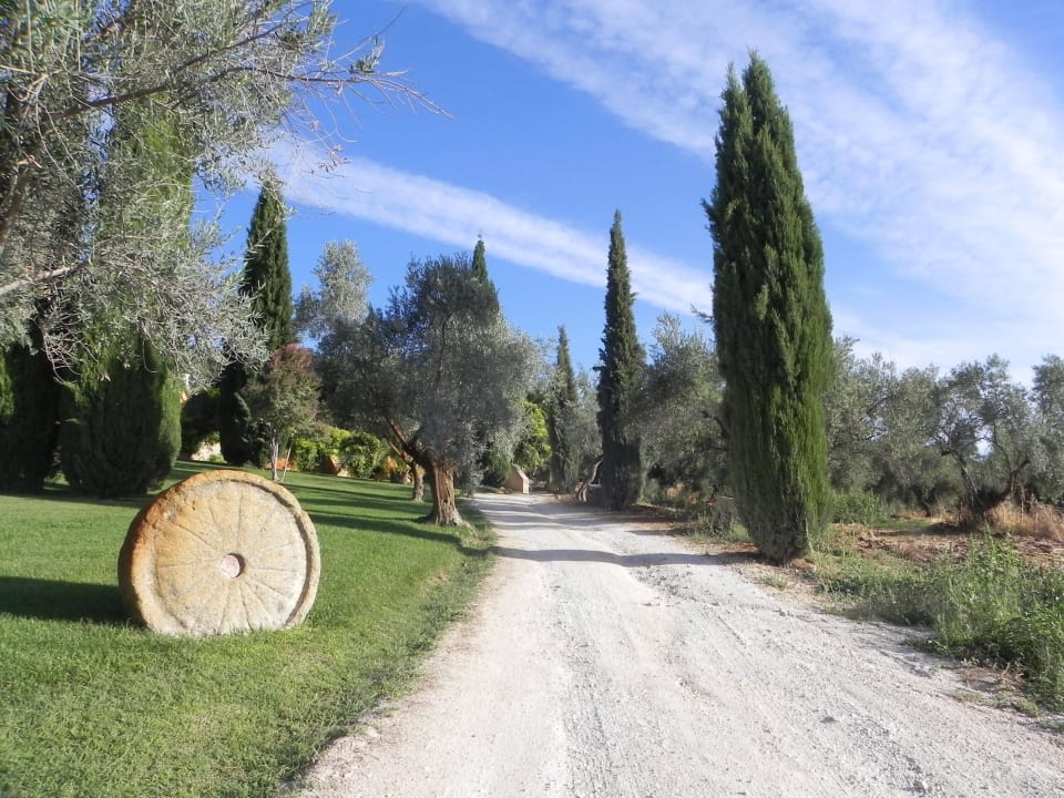 The very gravelly drive, lot of potholes Hotel La Fuente De La Higuera